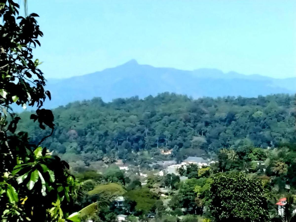 Jily Stay Kandy Luaran gambar